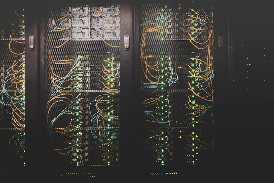 Network cables plugged into rack-mounted equipment